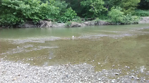 State Park «White River State Park», reviews and photos, 801 W Washington St, Indianapolis, IN 46204, USA