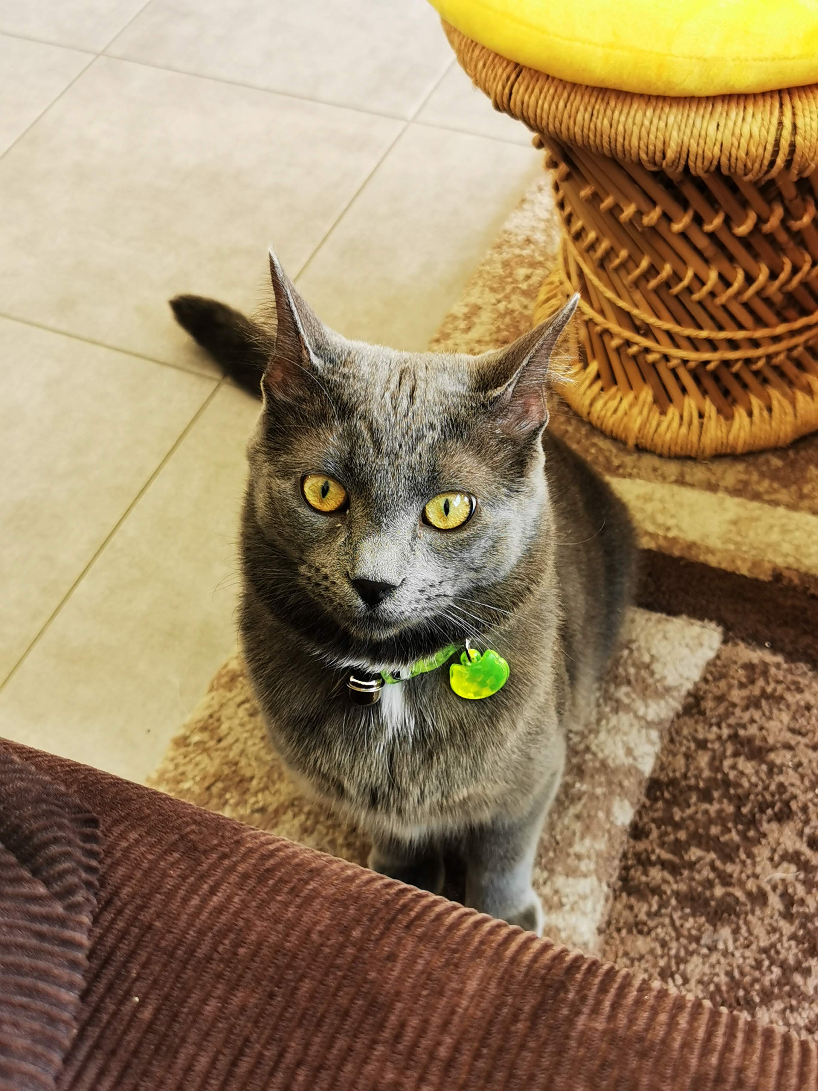 Photo n° 1 de l'avis de Aurore.a fait le 25/02/2021 à 19:15
