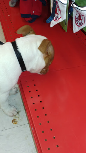 Pet Supply Store «Petco Animal Supplies», reviews and photos, 75 Highland Ave #6, Seekonk, MA 02771, USA