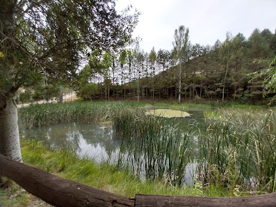 Balsa del molino TE-V-9113, 44124 Moscardón, Teruel, España