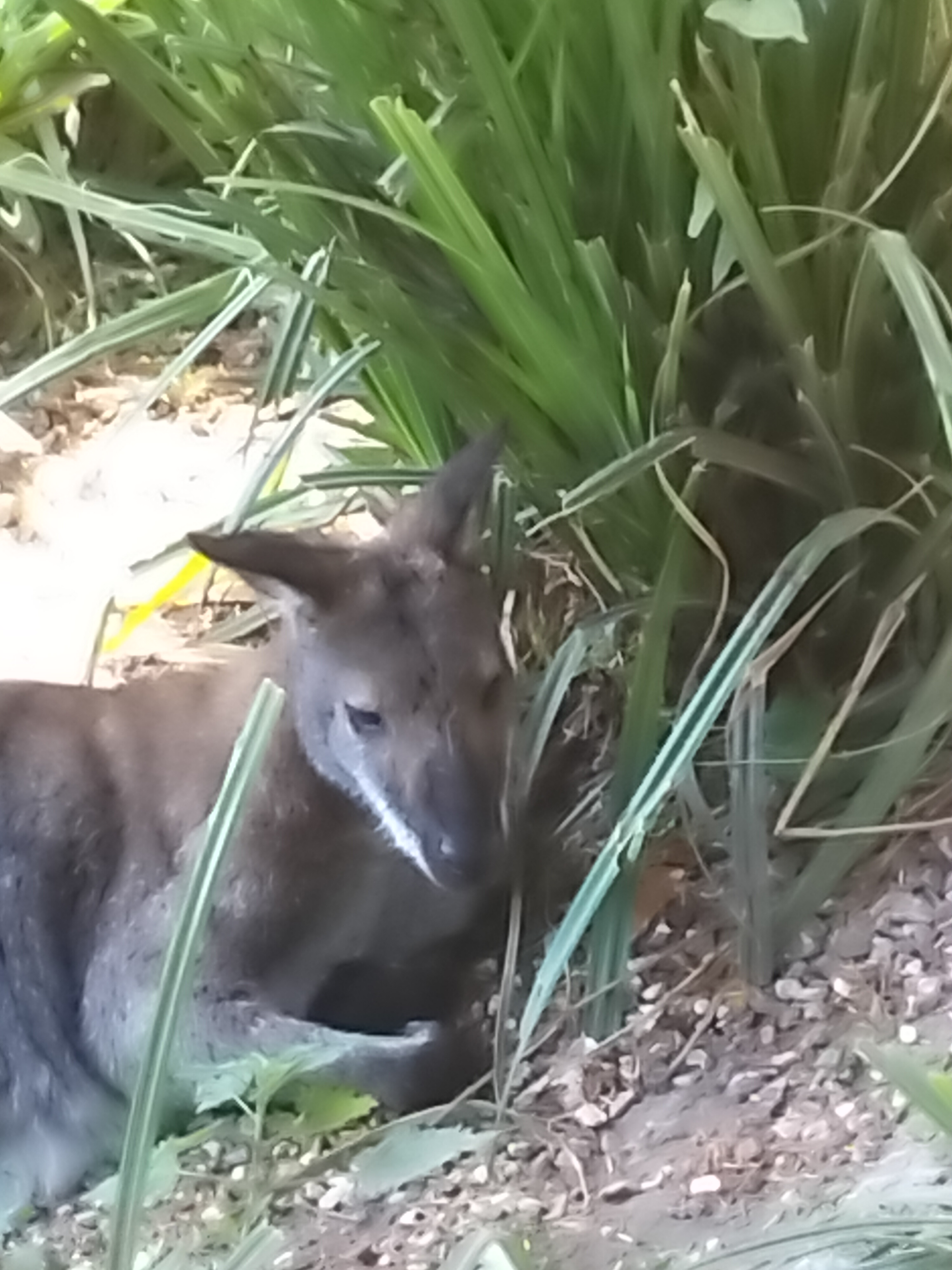 Photo n° 8 de l'avis de Elise.u fait le 08/09/2022 à 12:48