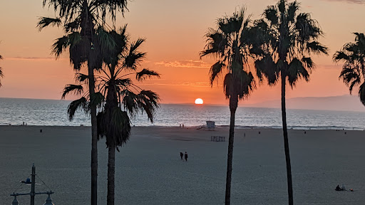 Stay Open Venice Beach image