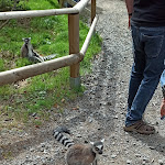 Photo n°4 de l'avis de Uschi.c fait le 26/09/2023 à 17:31 sur le  Tier-Erlebnispark Bell à Bell