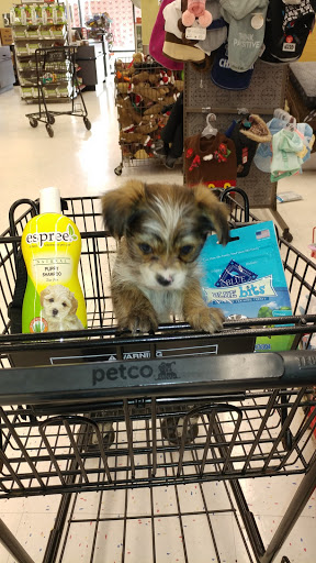 Pet Supply Store «Petco Animal Supplies», reviews and photos, 6418 S Staples St b, Corpus Christi, TX 78413, USA