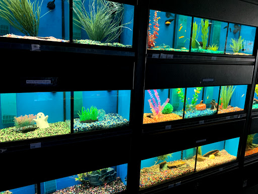 Pet Store «Wet Pets N Critters», reviews and photos, 103 TX-281 Loop, Longview, TX 75605, USA