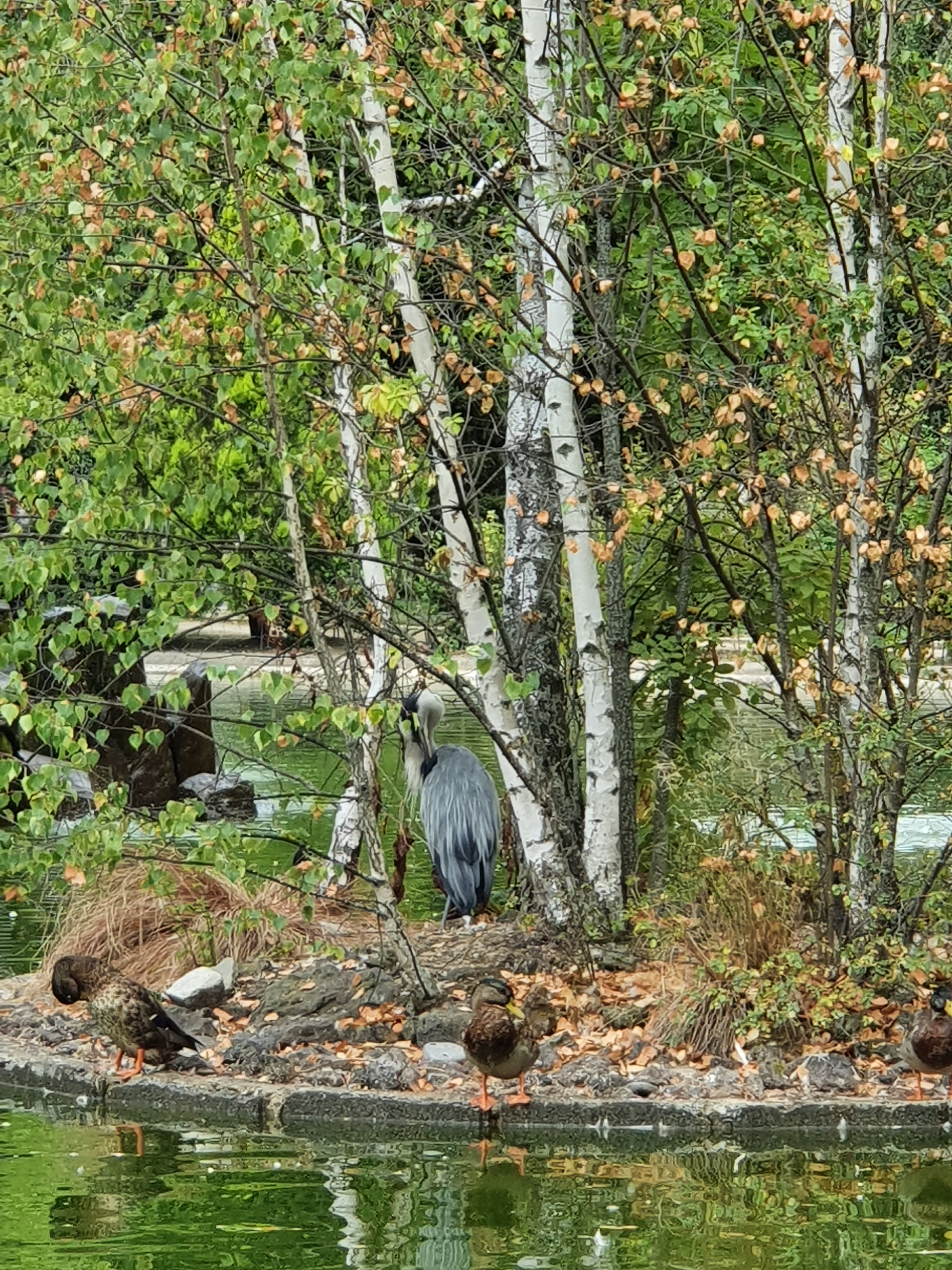 Photo n° 3 de l'avis de Severine.o fait le 24/08/2021 à 16:41