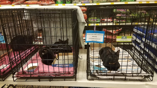 Pet Supply Store «PetSmart», reviews and photos, 730 S Sepulveda Blvd, El Segundo, CA 90245, USA