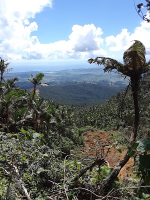 El Toro Wilderness - photo 29