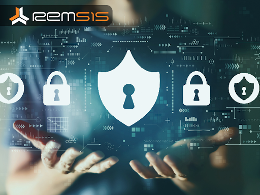 REMSIS Managed IT Services image