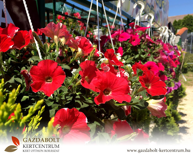 Comentarii opinii despre Gazdabolt - Kertcentrum Mór