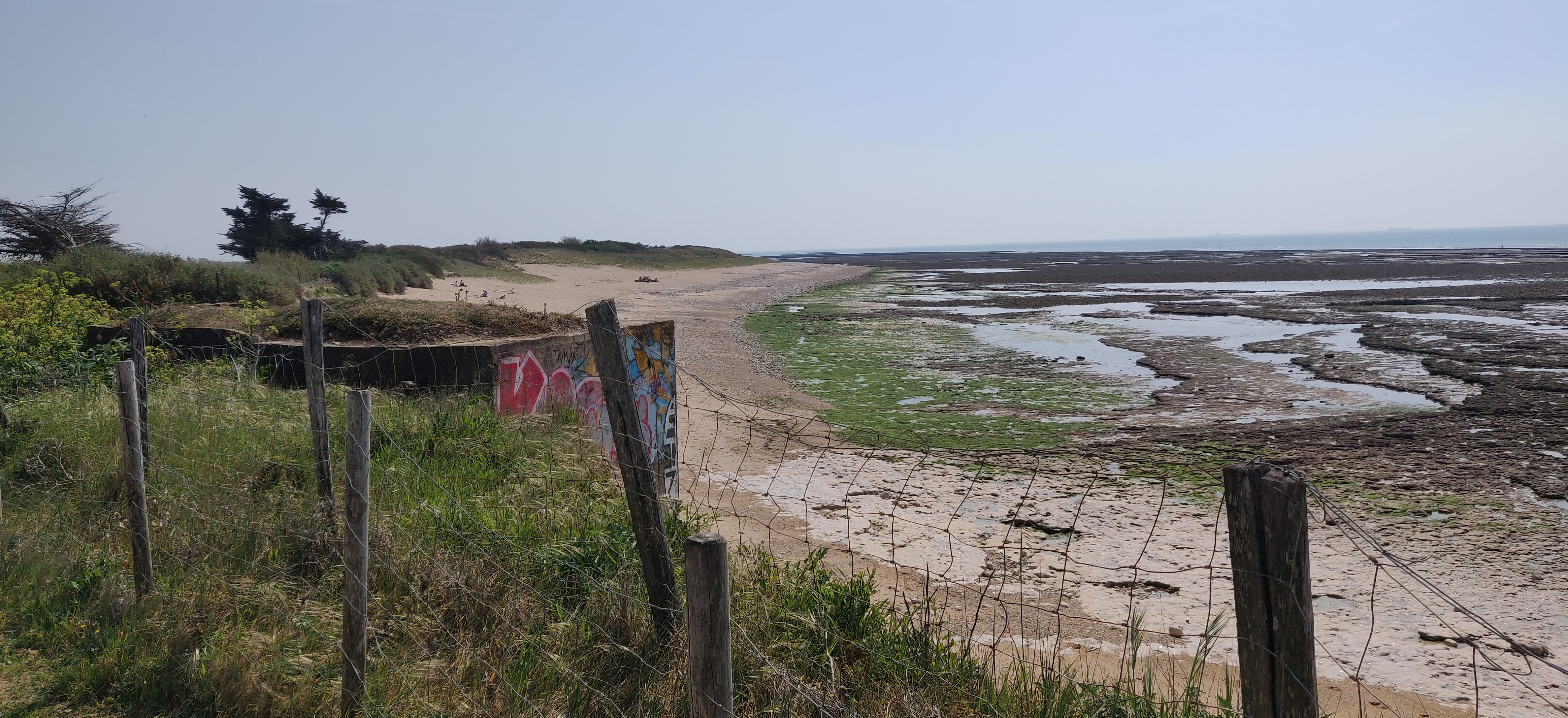 Photo n° 2 de l'avis de oc.e fait le 06/05/2022 à 16:44