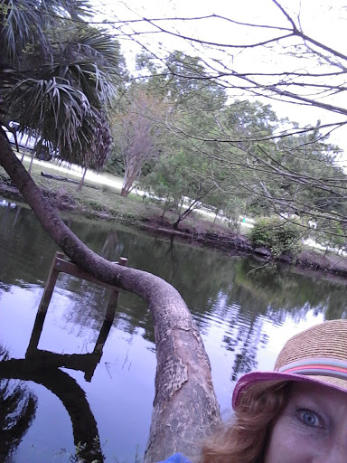 Canoe & Kayak Rental Service «Wekiva Island», reviews and photos, 1014 Miami Springs Dr, Longwood, FL 32779, USA