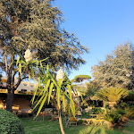 Photo n°6 de l'avis de Ina.t fait le 05/10/2023 à 19:04 sur le  Hotel Terme Villa Angela à Forio