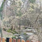 Photo n° 6 de l'avis de emmanuelle.h fait le 22/01/2023 à 17:02 pour Le Petit Meunier à Messimy