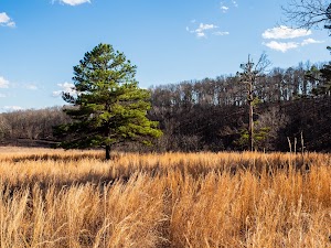 J. T. Nickel Family Nature and Wildlife Preserve - photo 95