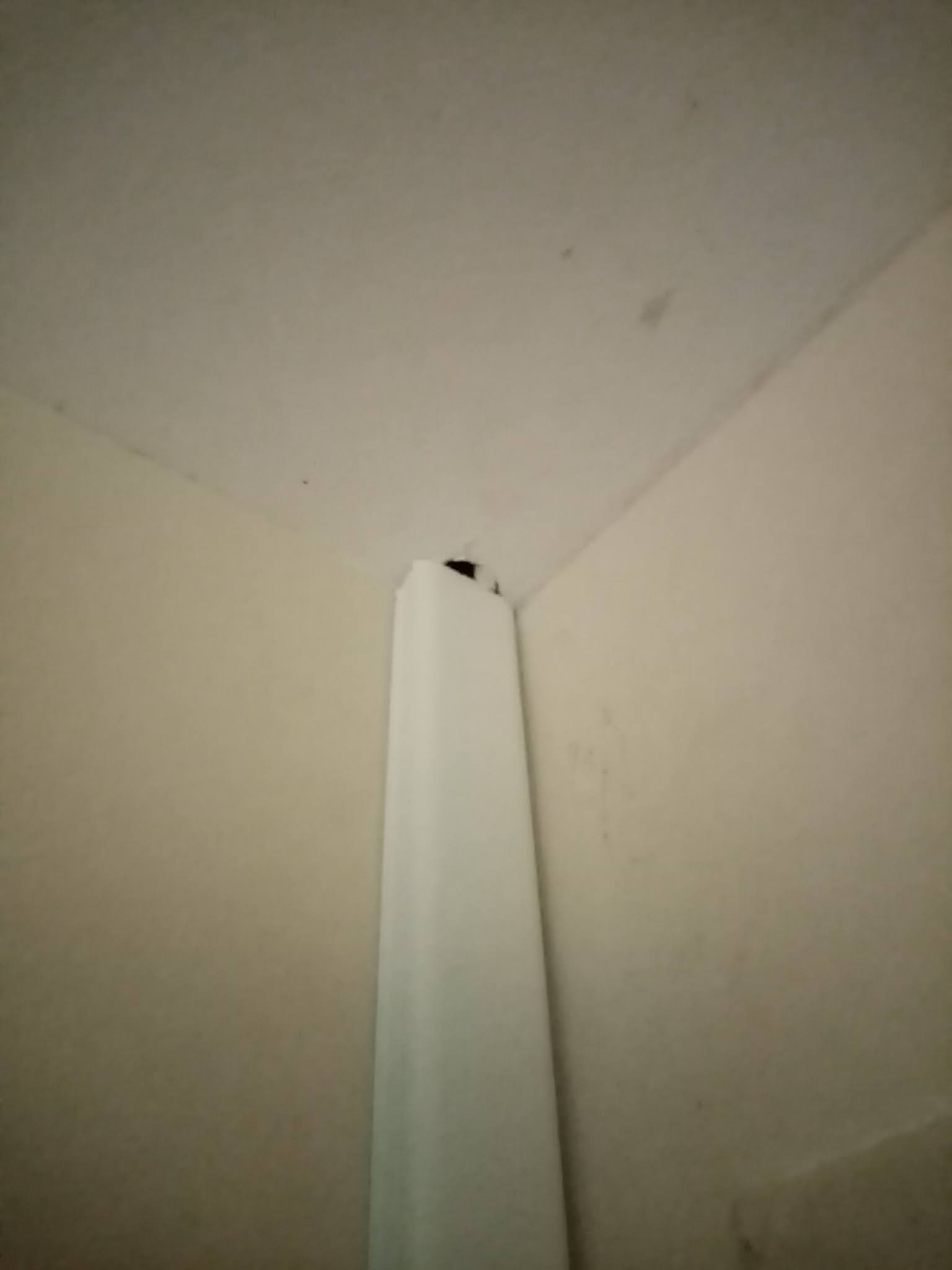 Photo n° 4 de l'avis de Yannick.u fait le 01/09/2021 à 16:14