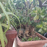 Photo n°3 de l'avis de Liberata.i fait le 27/08/2020 à 22:43 sur le  Made 'n Sicilia - Baglio Scopello à Scopello