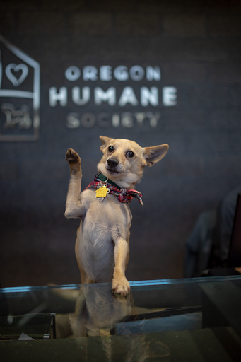 Animal Shelter «Oregon Humane Society», reviews and photos