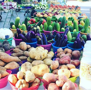 Third Street South Farmers Market - photo 9