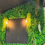 Photo n°3 de l'avis de Xenia.o fait le 23/11/2023 à 08:22 sur le  Pad Pad à Groß-Gerau