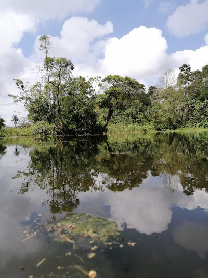 Conservación Y Restauración Ecológica Del Bosque y Laguna Verde