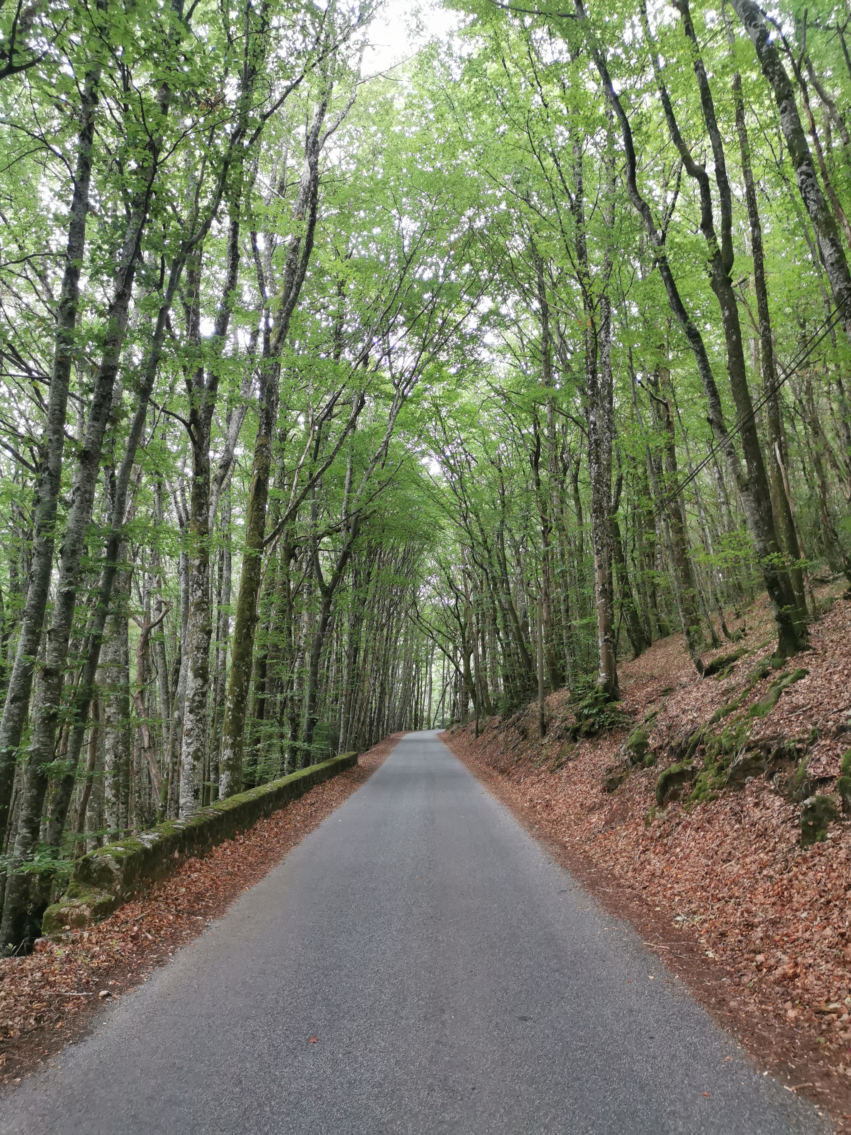 Photo n° 4 de l'avis de Axelle.h fait le 27/08/2023 à 12:59