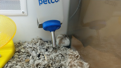 Pet Supply Store «Petco Animal Supplies», reviews and photos, 20980 Westgate Mall, Fairview Park, OH 44126, USA