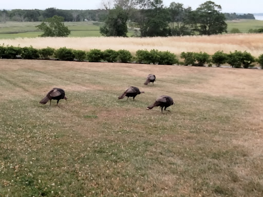 Historical Place «Castle Hill», reviews and photos, 290 Argilla Rd, Ipswich, MA 01938, USA