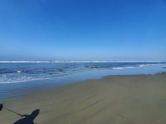 Copalis Beach