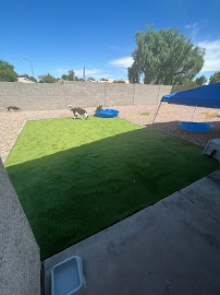 Peace of Mind Pet Resort - Photo 8 - Car repair in , Glendale