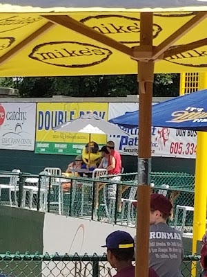 Sioux Falls Canaries - photo 45