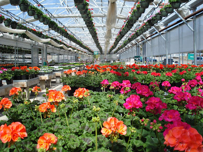 Ashland Greenhouses