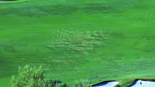 Golf Club «Troon North Golf Club», reviews and photos, 10320 E Dynamite Blvd, Scottsdale, AZ 85262, USA