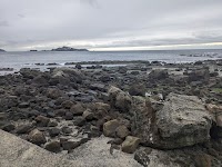 畔の岩這