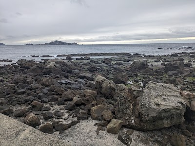 畔の岩這