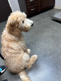 Platte Woods Animal Hospital - Photo 7 - Car repair in Kansas City, MO, Kansas City