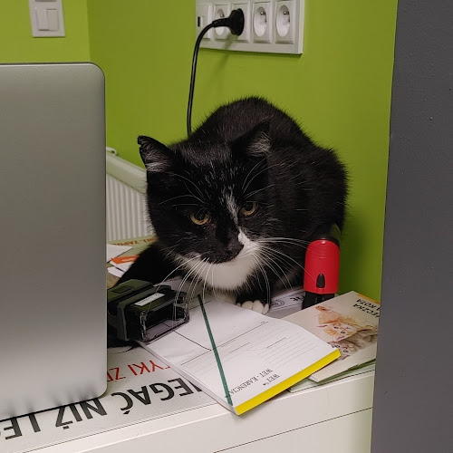 Wet-Pet Gabinet Weterynaryjny - Weterynarz