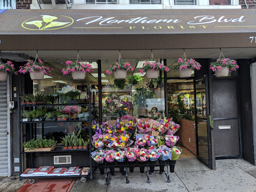 Florist «Northern Blvd. Florist», reviews and photos, 82-09 Northern Blvd, Jackson Heights, NY 11372, USA