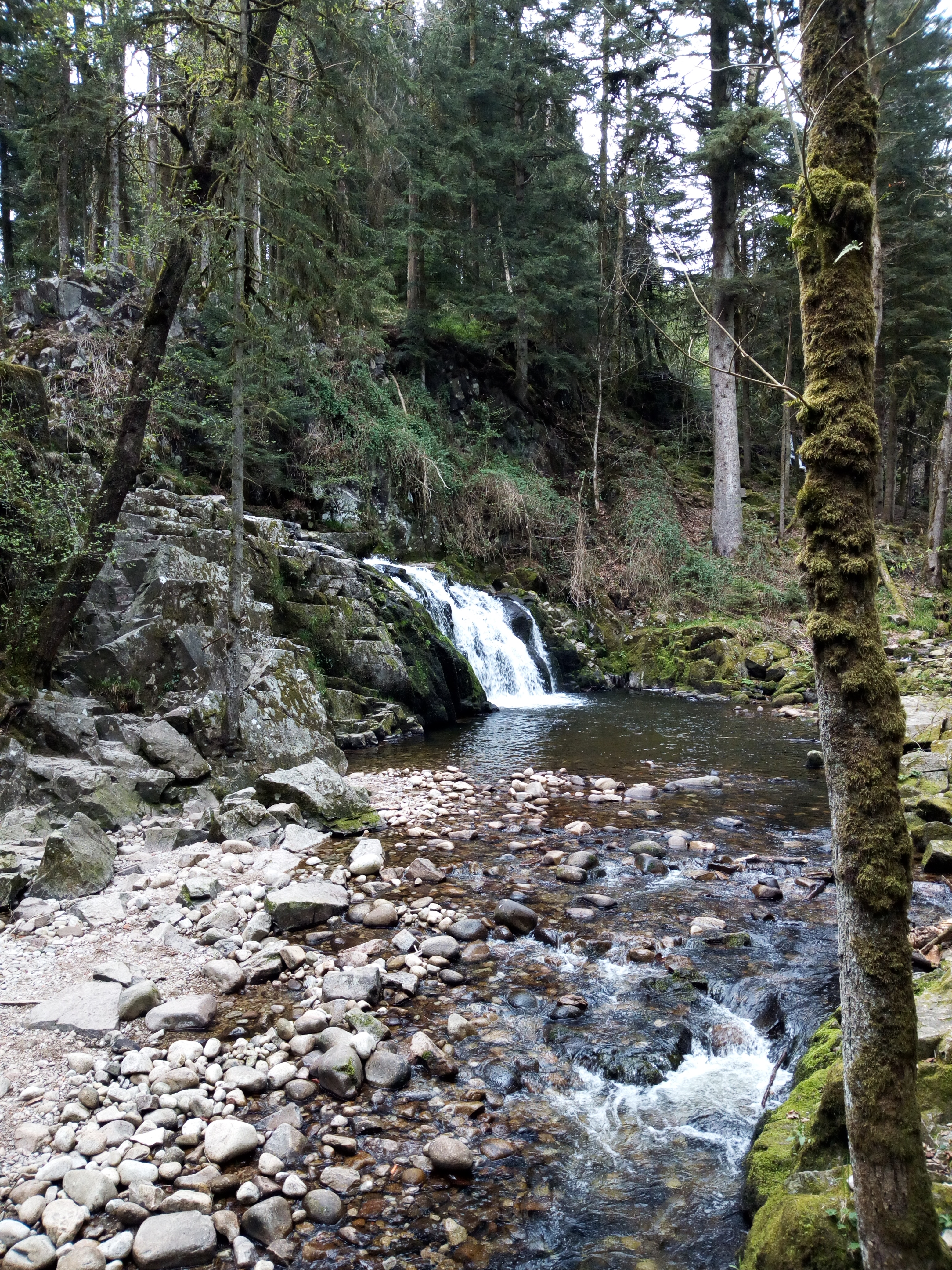 Photo n° 2 de l'avis de Eric.i fait le 24/04/2019 à 14:52