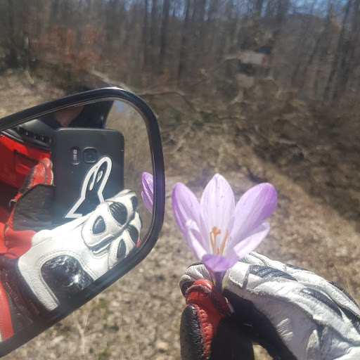 Alpinestars USA image