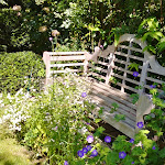 Photo n° 8 de l'avis de Monique.i fait le 17/07/2021 à 17:27 pour Le Jardin Retiré à Bagnoles de l'Orne Normandie