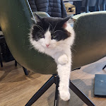 Photo n°6 de l'avis de Myriam.o fait le 30/04/2024 à 10:42 sur le  Katzentempel Hamburg Hafencity à Hamburg