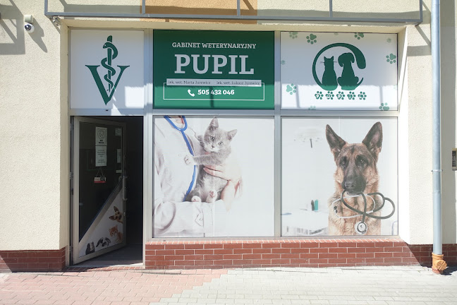 Gabinet Weterynaryjny "PUPIL"