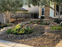 Galaxy Landscaping and Design