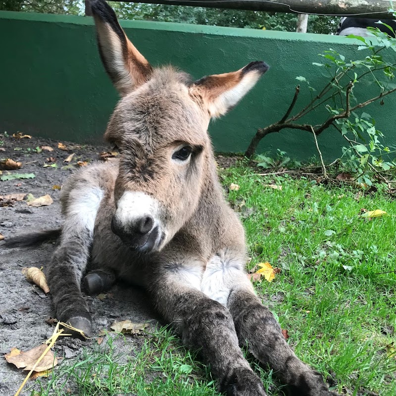 Jyllands Park Zoo