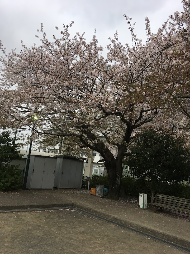 大手桜木公園