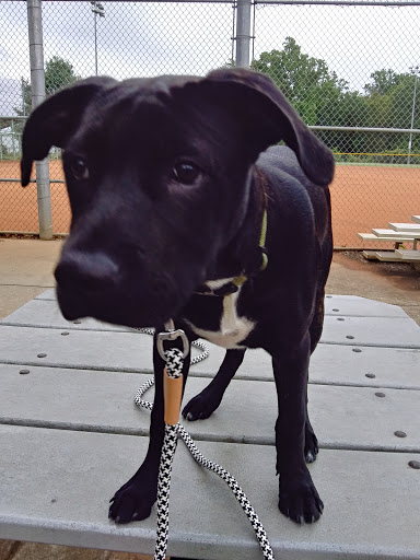 Park «Best Friend Park», reviews and photos, 6224 Jimmy Carter Blvd, Norcross, GA 30071, USA