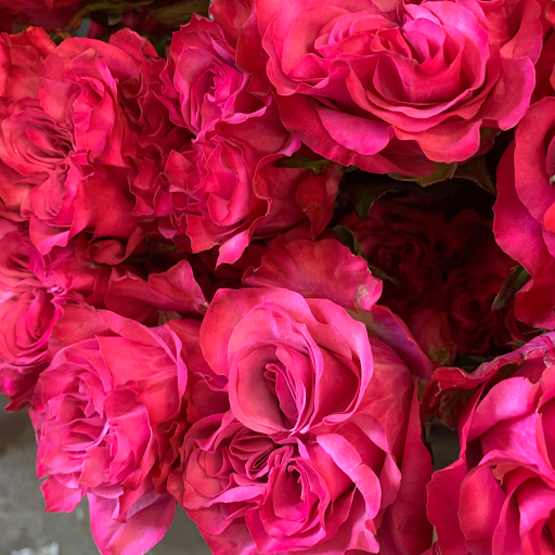 Florist «Sterling Blooms», reviews and photos, 43-50 11th St #206, Long Island City, NY 11101, USA