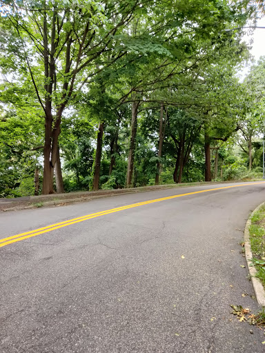 Dog Park «Forest Park Dog Run», reviews and photos, 8445 Park Ln S, Woodhaven, NY 11421, USA