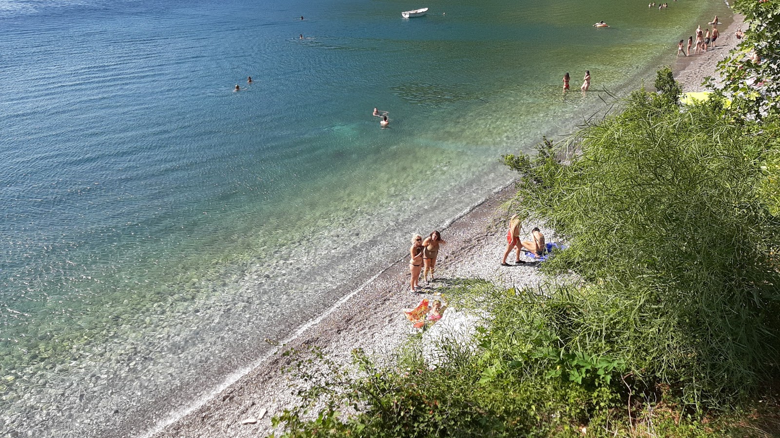 Fotografija Dafni of Evia beach z prostoren zaliv